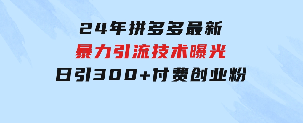 24年拼多多最新暴利引流技术曝光，日引300+付费创业粉，操作简单，流量…-巨丰资源网