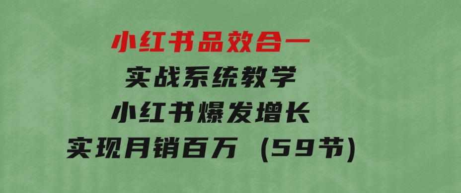 小红书品效合一实战系统教学：小红书爆发增长，实现月销百万(59节)-巨丰资源网