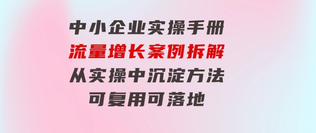 中小企业实操手册-流量增长案例拆解，从实操中沉淀方法，可复用可落地-巨丰资源网