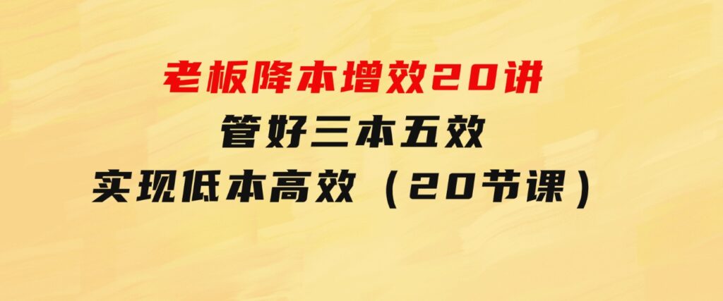 老板降本增效20讲，管好三本五效，实现低本高效（20节课）-巨丰资源网