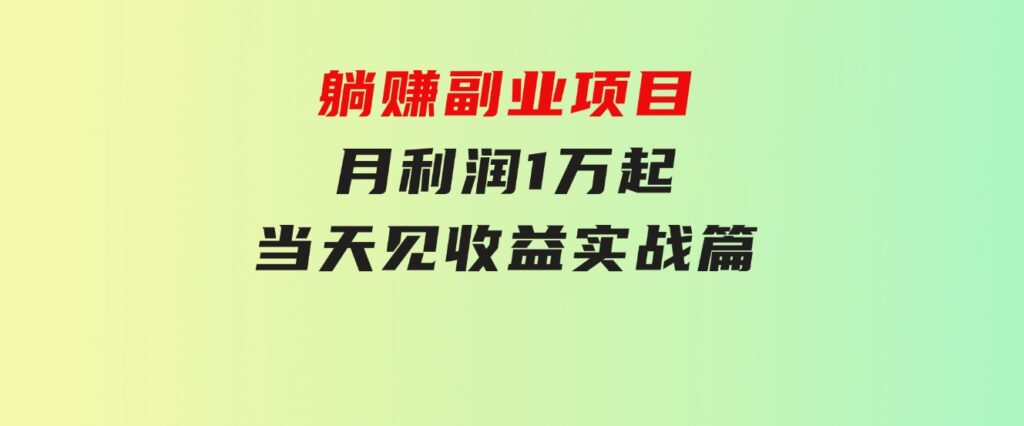 躺赚副业项目，月利润1万起，当天见收益，实战篇-巨丰资源网