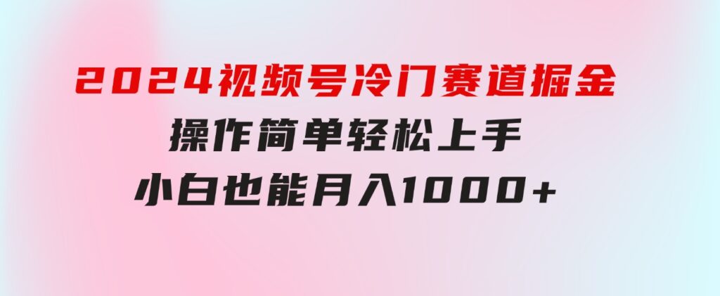 2024视频号冷门赛道掘金，操作简单轻松上手，小白也能月入1000+-巨丰资源网