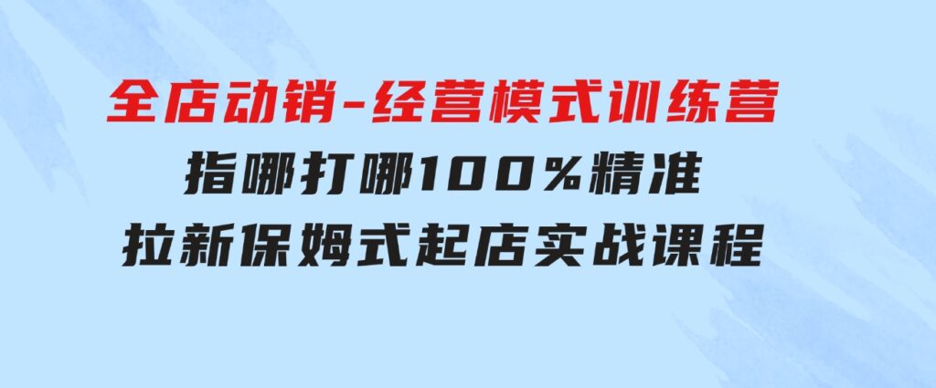 全店动销-经营模式训练营，指哪打哪100%精准拉新保姆式起店实战课程-巨丰资源网