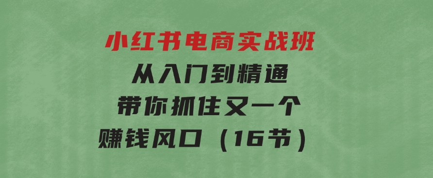 小红书电商实战班，从入门到精通，带你抓住又一个赚钱风口（16节）-巨丰资源网