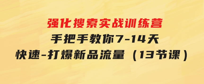 强化搜索实战训练营，手把手教你7-14天快速-打爆新品流量（13节课）-巨丰资源网