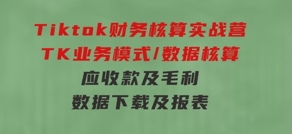 Tiktok财务核算实战营：TK业务模式/数据核算/应收款及毛利/数据下载及报表-巨丰资源网