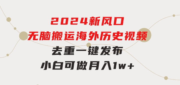 2024新风口，无脑搬运海外历史视频，去重一键发布，小白可做，月入1w不…-巨丰资源网