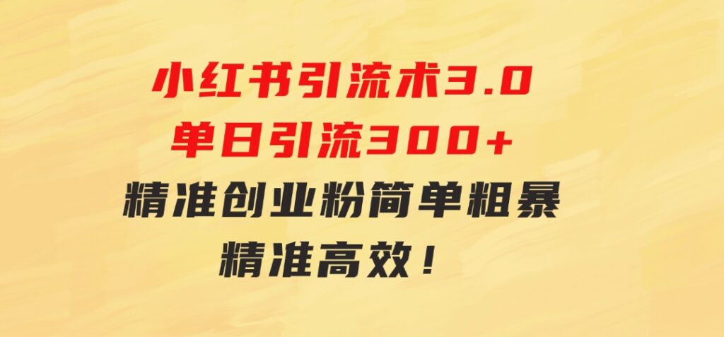 24年最新小红书引流术3.0，单日引流300+精准创业粉，简单粗暴，精准高效！-巨丰资源网