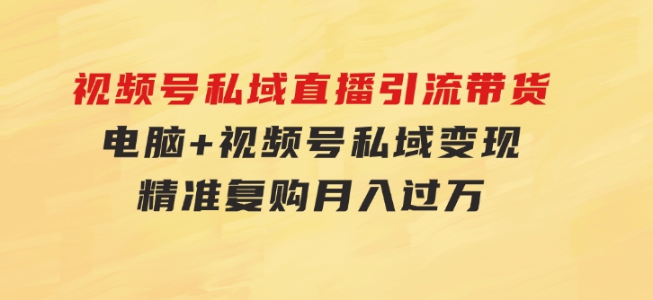 视频号私域直播引流带货：电脑+视频号，私域变现，精准复购，月入过万…-巨丰资源网