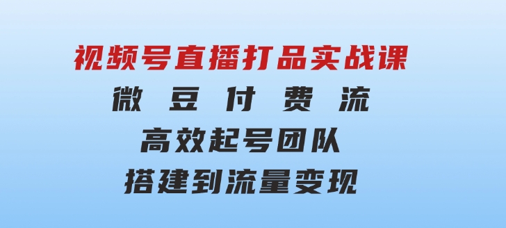 视频号直播打品实战课：微豆付费流，高效起号，团队搭建到流量变现-巨丰资源网