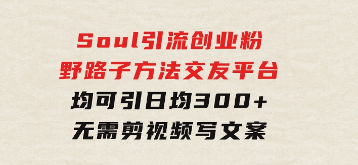 Soul引流创业粉野路子方法，交友平台均可引日均300+，无需剪视频写文案-巨丰资源网