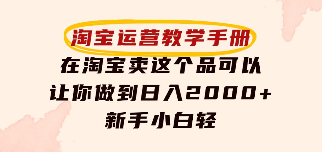 淘宝运营教学手册，在淘宝卖这个品可以让你做到日入2000+，新手小白轻-巨丰资源网