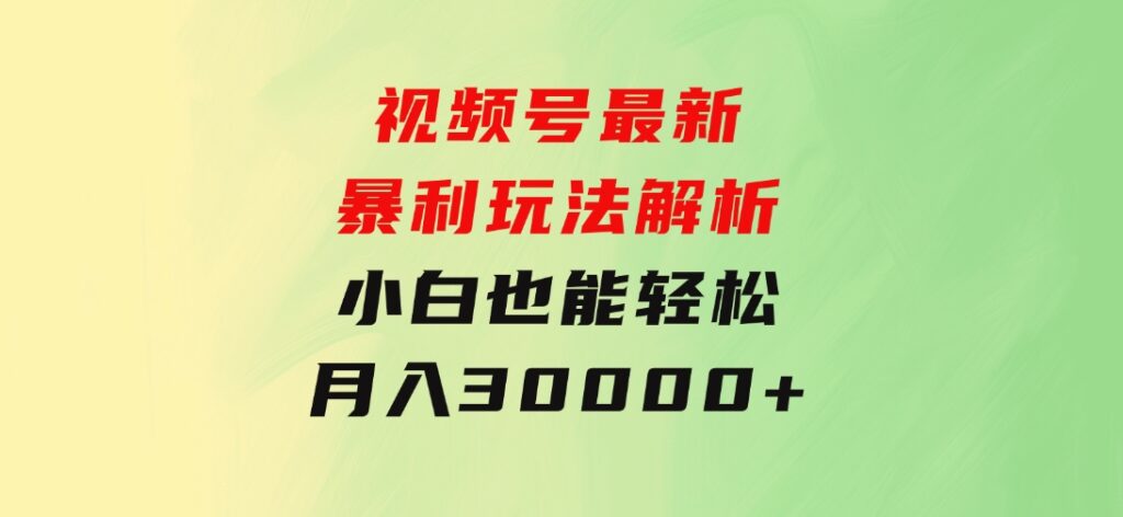 视频号最新暴利玩法解析，小白也能轻松月入30000+-巨丰资源网