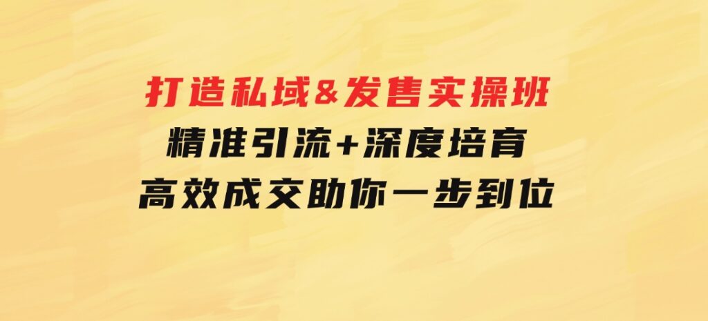 打造私域&发售实操班：精准引流+深度培育+高效成交，助你一步到位-巨丰资源网