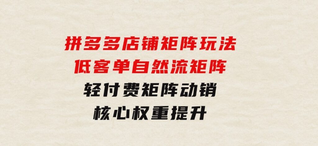 拼多多店铺矩阵玩法：低客单自然流矩阵/轻付费矩阵动销/核心权重提升-巨丰资源网