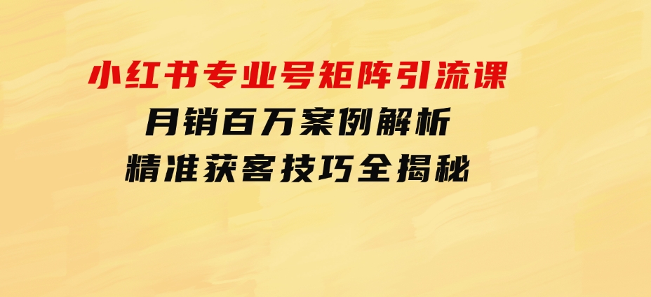 小红书专业号矩阵引流课，月销百万案例解析，精准获客技巧全揭秘-巨丰资源网