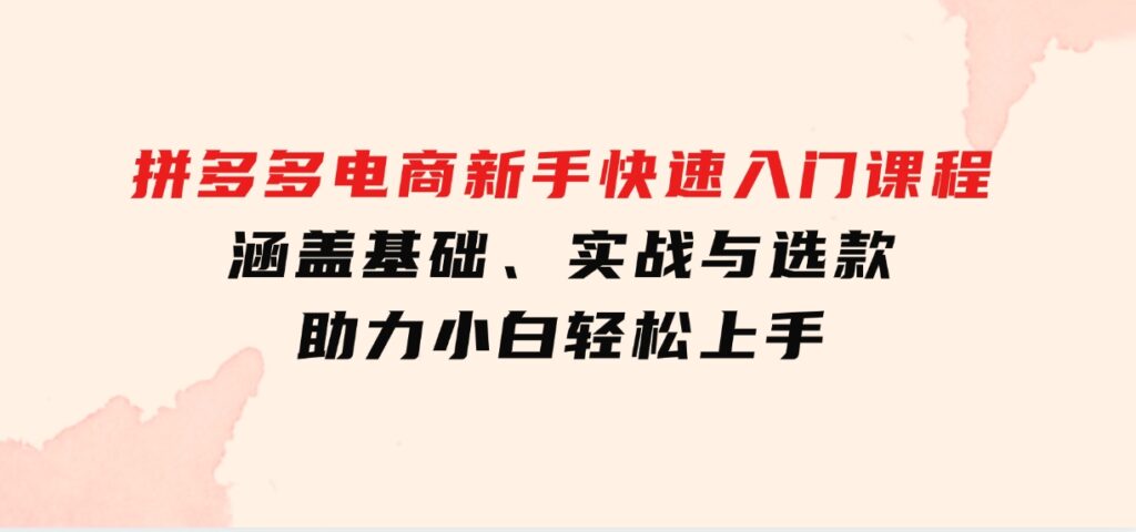 拼多多电商新手快速入门课程：涵盖基础、实战与选款，助力小白轻松上手-巨丰资源网