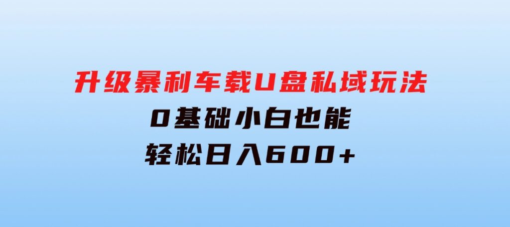 升级暴利车载U盘私域玩法，0基础小白也能轻松日入600+-巨丰资源网