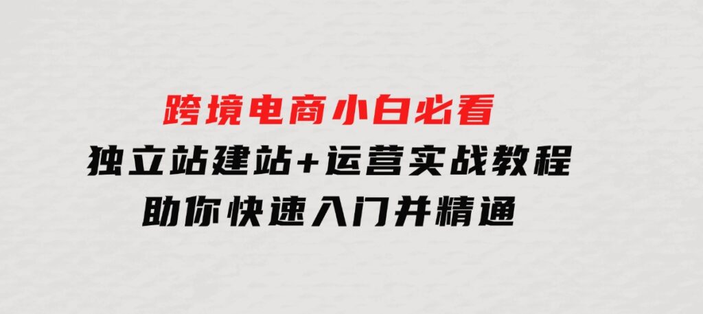 跨境电商小白必看！独立站建站+运营实战教程，助你快速入门并精通-巨丰资源网