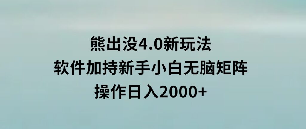 熊出没4.0新玩法，软件加持，新手小白无脑矩阵操作，日入2000+-巨丰资源网